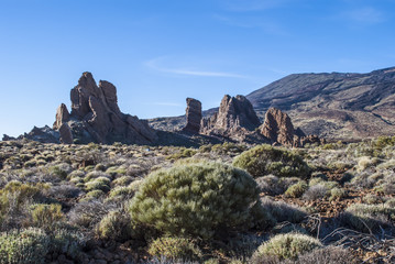 Fototapeta na wymiar Volcanic Landscape (El Teide National Park)