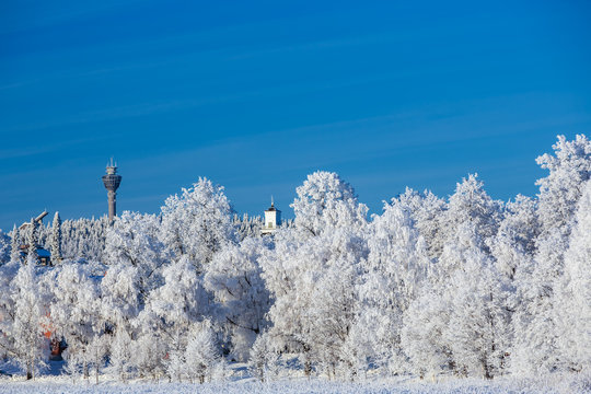 Winter view towards Puijo tower and Kuopio Cathedral