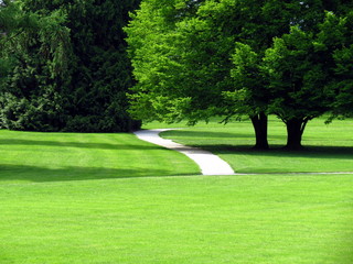 Fototapeta premium Path in green park