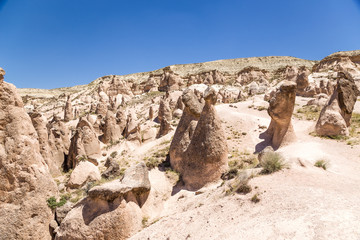 Cappadocia. Cappadocia. Landscape with pillars of weathering