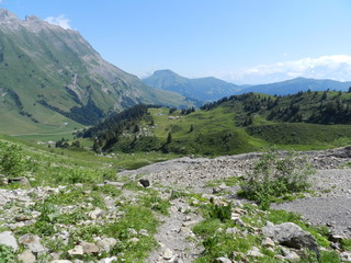 Fototapeta na wymiar paysage montagnard