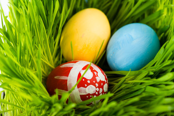 Easter eggs on green grass