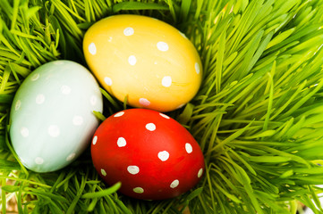 Colorful easter eggs on green grass