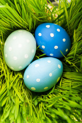 Colorful easter eggs on green grass