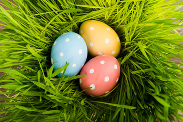 Easter eggs on green grass