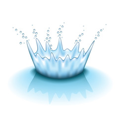 Water splashing isolated on white vector