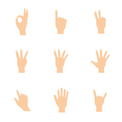Vector illustrations set of woman hands in various gestures.