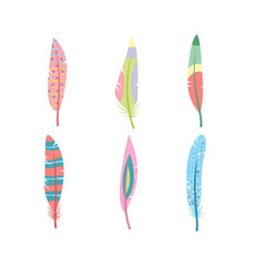 Vector colored feathers set. Bird feathers painted in colorful