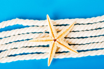 Fototapeta na wymiar Rope and starfish on blue