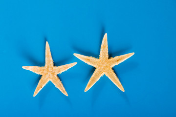 Fototapeta na wymiar two starfishes on blue background