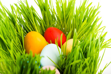 Fototapeta premium Easter eggs on green grass