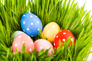 Easter eggs on green grass