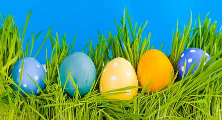 Fototapeta premium Colorful easter eggs in a row on green grass