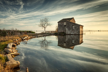 La Albufera nature reserve Valencia province Spain