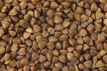 macro buckwheat background