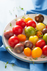 colorful tomatoes in plate on blue background