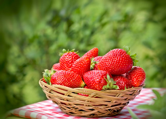 Fototapeta na wymiar Fresh organic strawberries