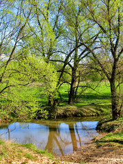 Fototapeta na wymiar Wade across the river in springtime