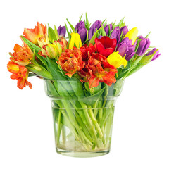 Flower bouquet from colorful tulips in glass vase isolated.