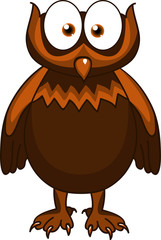 Funny owl