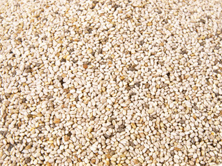 Chia Samen