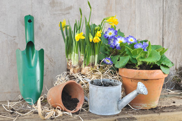 pots de fleurs et accessoires de jardinage