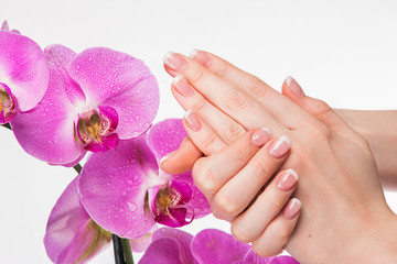 Obraz na płótnie Canvas French manicure and orchid flower