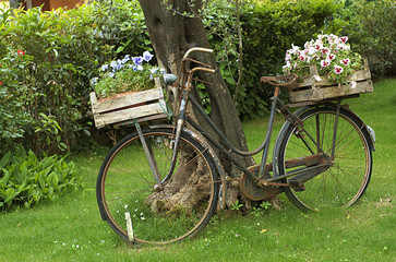 Fototapeta na wymiar The bicycle on the garden