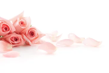 Printed kitchen splashbacks Roses Pink Roses and petals
