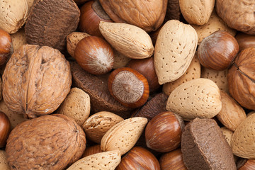 Nuts in shells, brazil nuts, almonds, hazelnuts and walnuts.