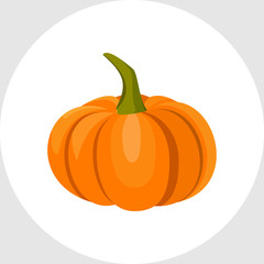 Fresh Orange Pumpkin