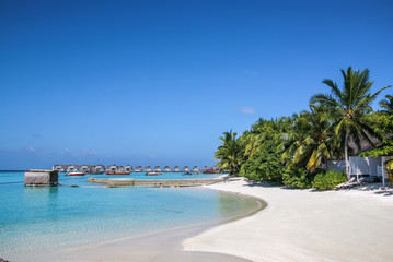 Obraz na płótnie Canvas The white sandy beach, Maldives