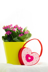 Valentine's Day, flowers, heart, ring