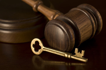Key rulings in law