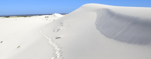 Dunes at Eucla, Nullarbor, Western Australia