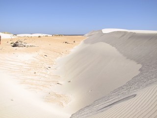 Dunes at Eucla, Nullarbor, Western Australia
