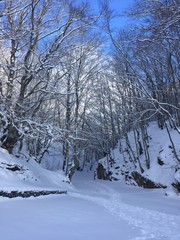 sentiero nella neve