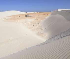 Dunes at Eucla, Nullarbor, Western Australia