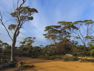 Cape Arid National Park, West Australia