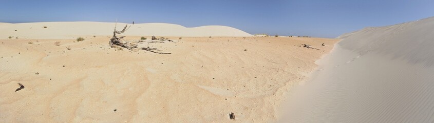 Dunes at Ceduna, Nullarbor, Western Australiaia