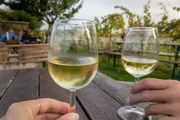 Tasting wine outdoor in a vineyard