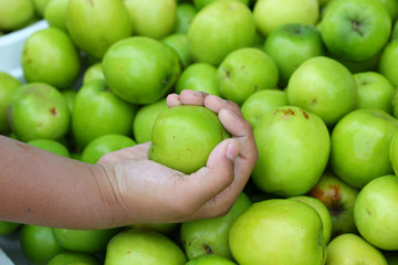 Green apples in the market