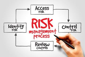 Risk management process mind map, business concept