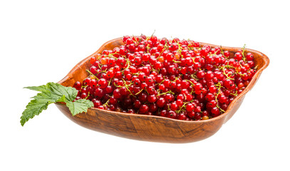 Red currant