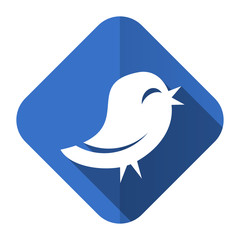 twitter flat icon