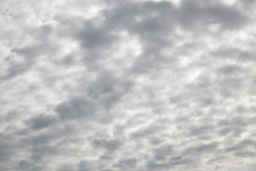 Obraz premium Gray sky