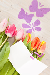 Tulpen und Schmetterlinge als Frühlingsboten