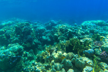 Naklejka na ściany i meble Underwater panorama