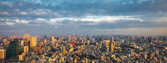 Naklejka premium Tokyo aerial panoramic view
