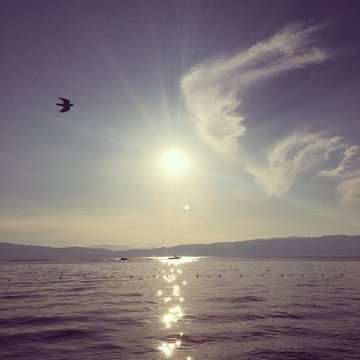 Sungazing